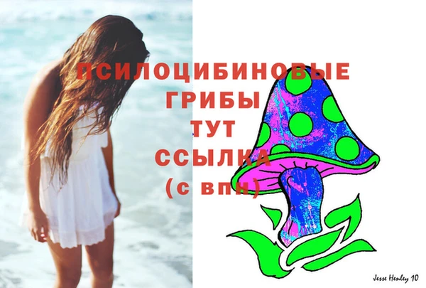бошки Алексин